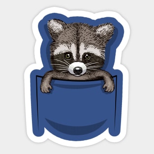 Pocket Racoon Sticker